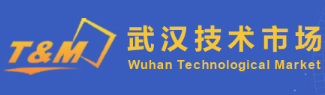 武汉技术市场